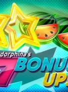 7 BONUS UP! official Endorphina slot cover artwork
