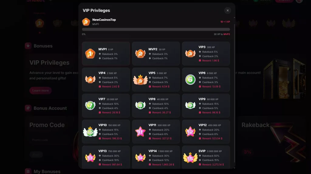 Sneket Casino VIP program with levels and rewards