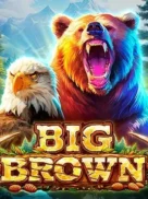 Big Brown official Endorphina slot cover artwork