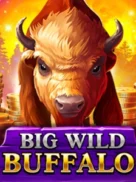 Big Wild Buffalo official Belatra slot cover artwork