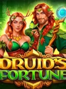 Druids Fortune official Endorphina slot cover artwork
