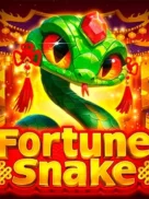 Fortune Snake official Endorphina slot cover artwork