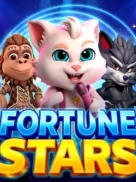 Fortune Stars official Endorphina slot cover artwork
