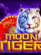 Moon Tiger official Endorphina slot cover artwork