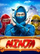 Ninja official Endorphina slot cover artwork