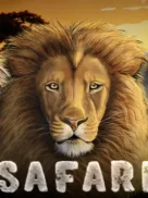 Safari official Endorphina slot cover artwork