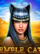Temple Cats official Endorphina slot cover artwork