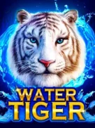 Water Tiger official Endorphina slot cover artwork