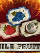 Wild Fruits official Endorphina slot cover artwork