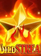 Wild Streak official Endorphina slot cover artwork
